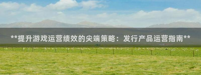 新航娱乐扣款后还能重新扣费吗：**提升游戏运营绩效的尖端策略：发行产品运营指南**
