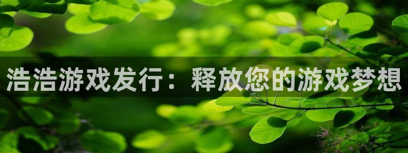 新航娱乐的股东名单和背景介绍是什么：浩浩游戏发行：释放您的游戏梦想