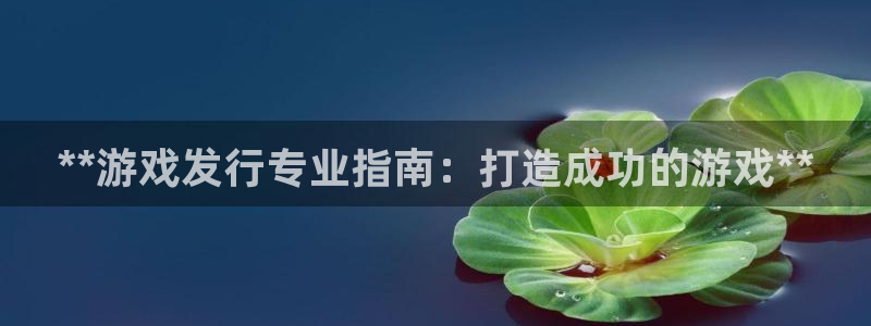 新航娱乐的背景和历史背景分析：**游戏发行专业指南：打造成功的游戏**