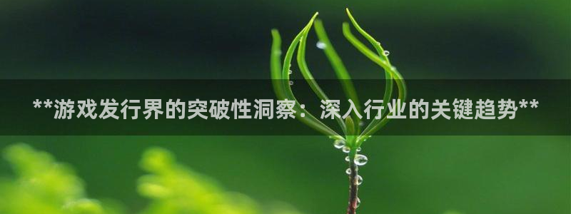新航娱乐旗下艺人名单：**游戏发行界的突破性洞察：深入行业的关键趋势**