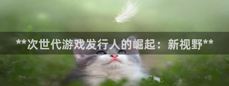 新航娱乐合法吗：**次世代游戏发行人的崛起：新视野**
