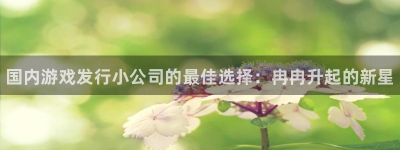 新航娱乐公司扣费流程详解图片大全