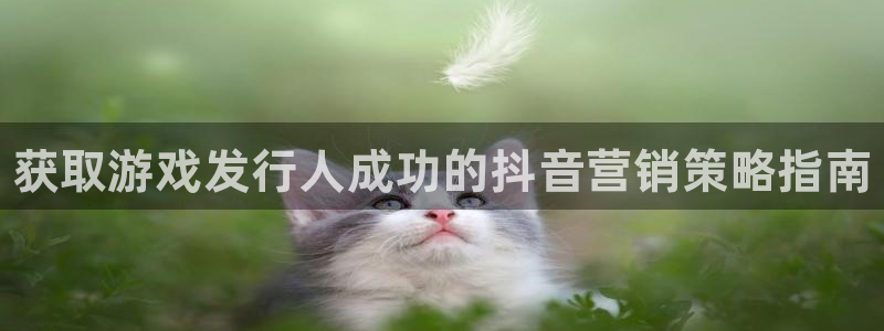 新航娱乐有限公司最新活动信息：获取游戏发行人成功的抖音营销策略指南