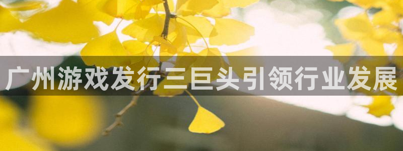 新航娱乐app的最新版本更新内容在哪里：广州游戏发行三巨头引领行业发展