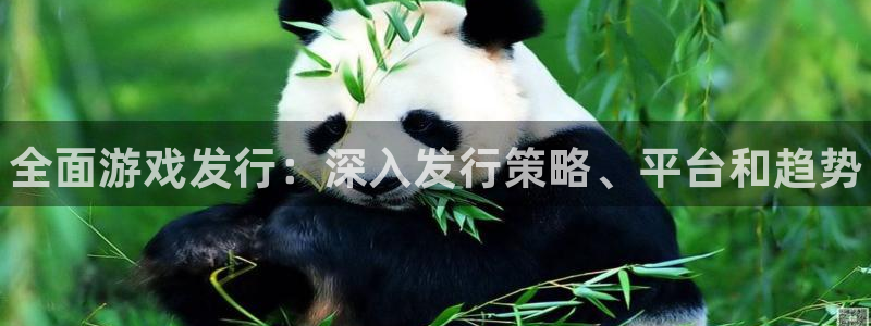 新航娱乐背后的老板叫什么：全面游戏发行：深入发行策略、平台和趋势