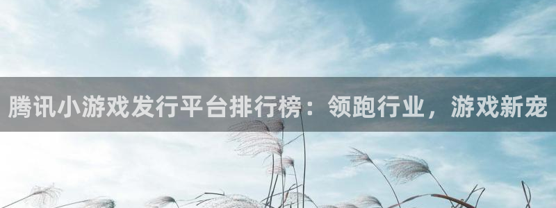 新航娱乐入网要求：腾讯小游戏发行平台排行榜：领跑行业，游戏新宠