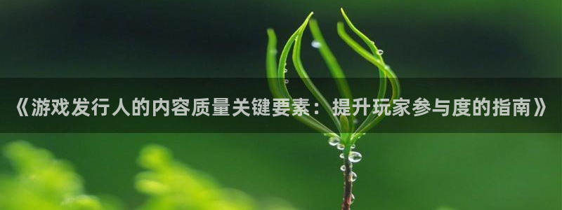 新航娱乐app官方免费下载安装：《游戏发行人的内容质量关键要素：提升玩家参与度的指南》