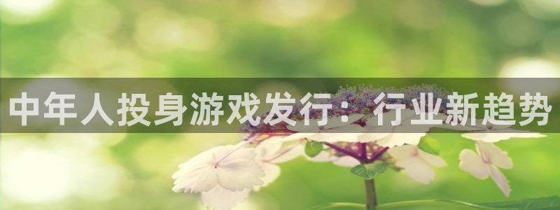 新航娱乐app官方免费下载安装