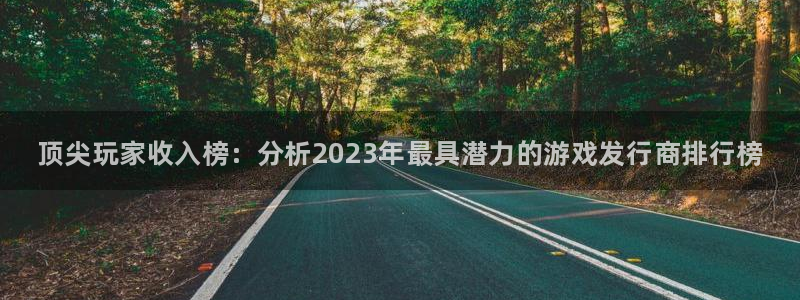新航娱乐的创始人是谁啊：顶尖玩家收入榜：分析2023年最具潜力的游戏发行商排行榜