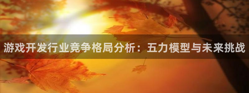 新航娱乐公司扣费流程详解视频大全：游戏开发行业竞争格局分析：五力模型与未来挑战