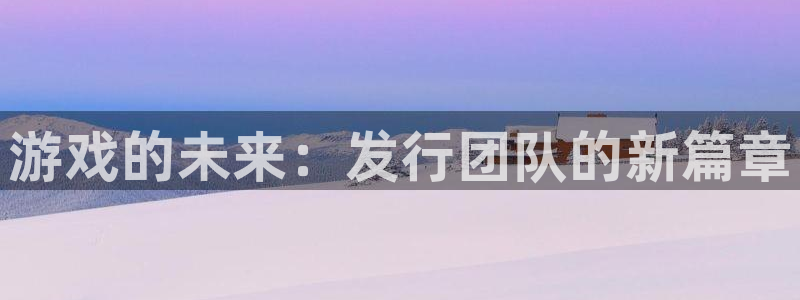 新航娱乐公司扣费流程详解表图片：游戏的未来：发行团队的新篇章