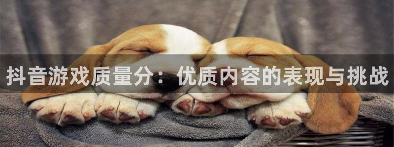 新航娱乐公司简介和历史背景怎么写：抖音游戏质量分：优质内容的表现与挑战